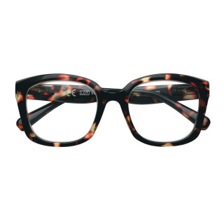 GAFAS ZIPPO LECTURA 31Z-B30 1 DIOP AGM 1UD