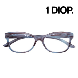 GAFAS ZIPPO LECTURA 31Z-PR69-100 1 DIOP. GRIS Y MARRÓN 1UD