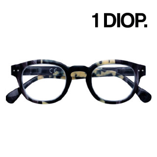 GAFAS ZIPPO LECTURA 31Z-PR72-100 1 DIOP. MARINO Y BEIGE  1UD