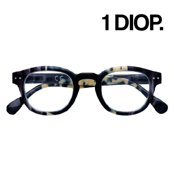 GAFAS ZIPPO LECTURA 31Z-PR72-100 1 DIOP. MARINO Y BEIGE  1UD