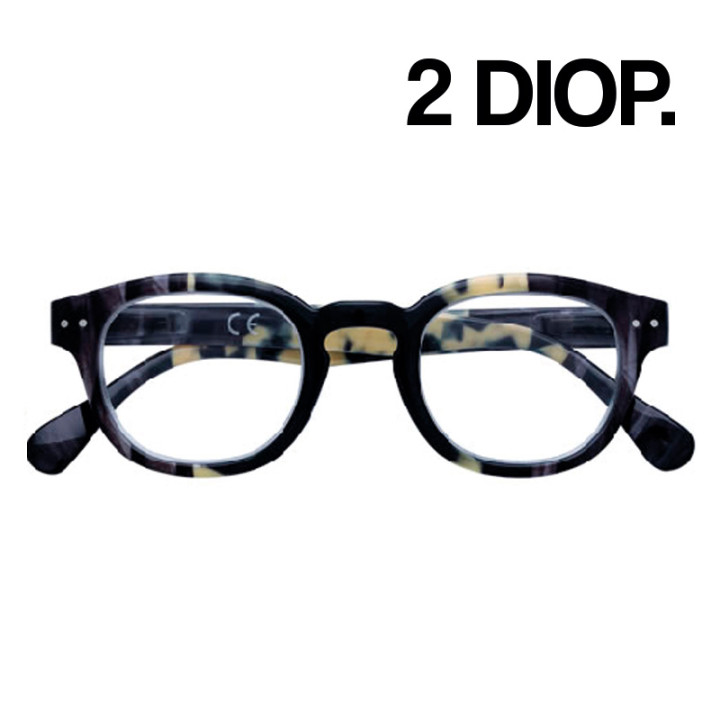 GAFAS ZIPPO LECTURA 31Z-PR72-200 2 DIOP. MARINO Y BEIGE  1UD