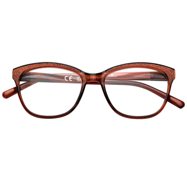 GAFAS ZIPPO LECTURA 31Z-PR79 2 DIOP MARRON BRILLOS 1UD