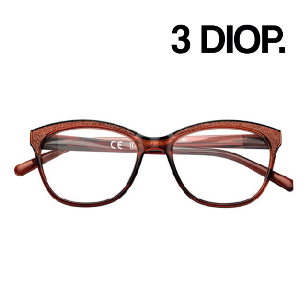 GAFAS ZIPPO LECTURA 31Z-PR79 3 DIOP MARRON BRILLOS 1UD