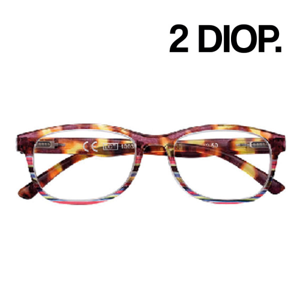 GAFAS ZIPPO LECTURA 31Z-PR90-200 2DIOP 1UD