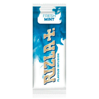 RIZLA TARJETA MENTA 1X25