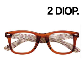 GAFAS ZIPPO LECTURA 31Z-B16-BRO200 2 DIOP BROWN 1UD