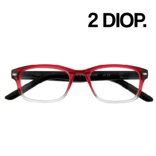 GAFAS ZIPPO LECTURA 31Z-B16-200 2 DIOP. ROJO 1UD
