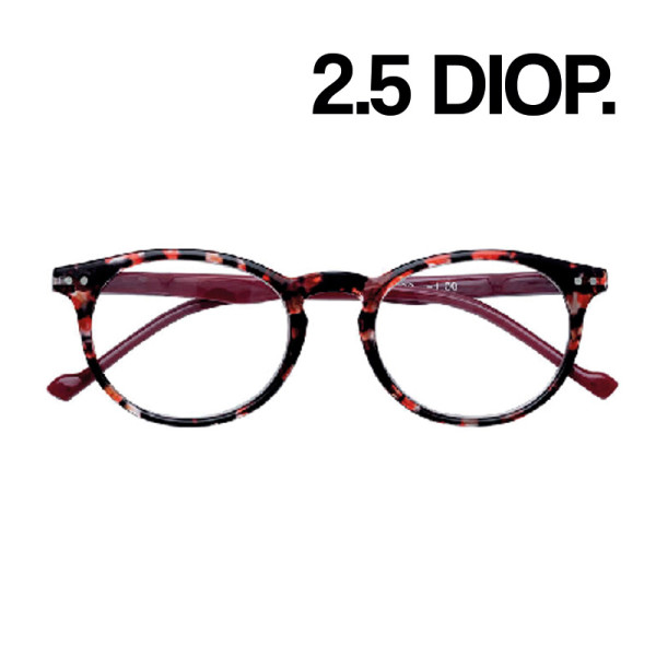 GAFAS ZIPPO LECTURA 31Z-B18-RED250 2.5 DIOP ROJA 1UD