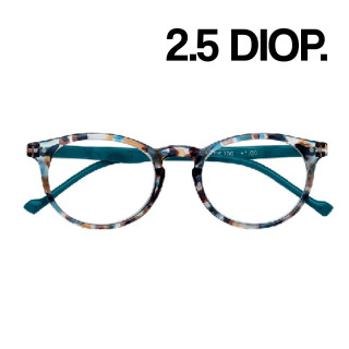 GAFAS ZIPPO LECTURA 31Z-B18-VED250 2.5 DIOP VERDE 1UD