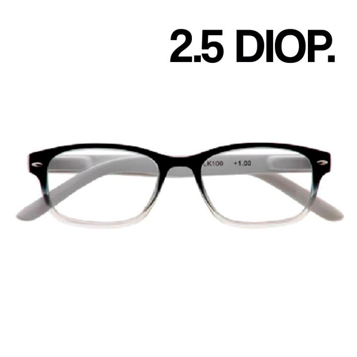 GAFAS ZIPPO LECTURA 31Z-B1-BLK250 2.5 DIOP. NEGRO 1UD