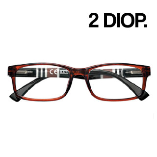 GAFAS ZIPPO LECTURA 31Z-B25 2 DIOP MARRON 1UD