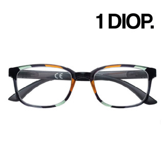 GAFAS ZIPPO LECTURA 31Z-B26 1 DIOP NARANJA 1UD